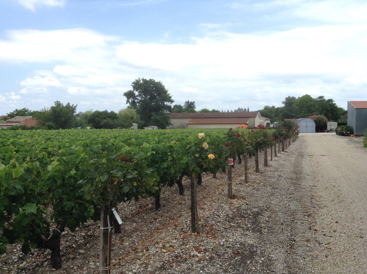France Passion winery France Passion motorhome stopover
