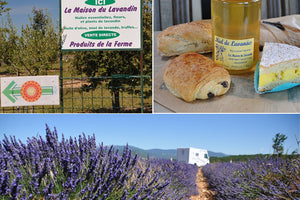 Top 5 wine free France Passion 2021 motorhome sites in France to visit Vicariously
